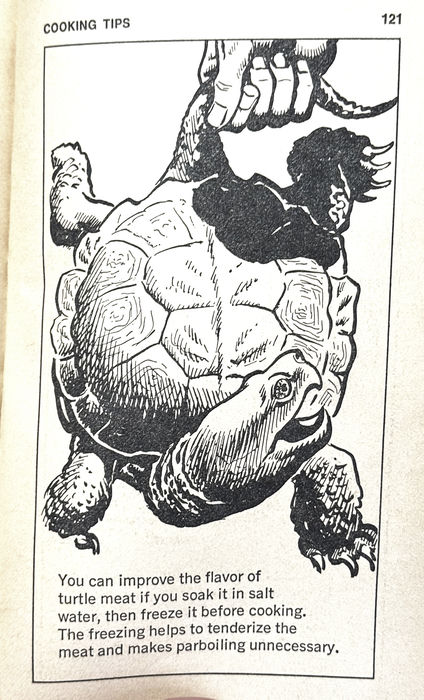 That's a Snapping Turtle You Have by the Tail!