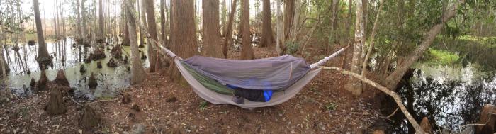 My Campsite in the Swamp