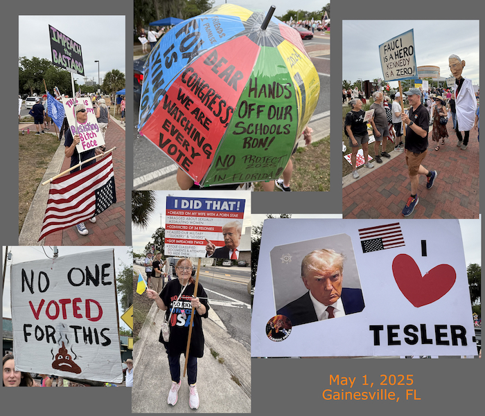Protest Collage