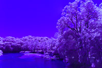 0075 2023 Infrared Motor Mill 