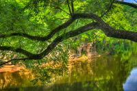 0134 2014 Hdr Motor Mill Motor Mill