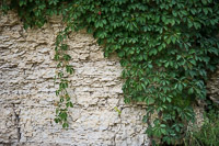 0140 2014 Motor Mill Motor Mill