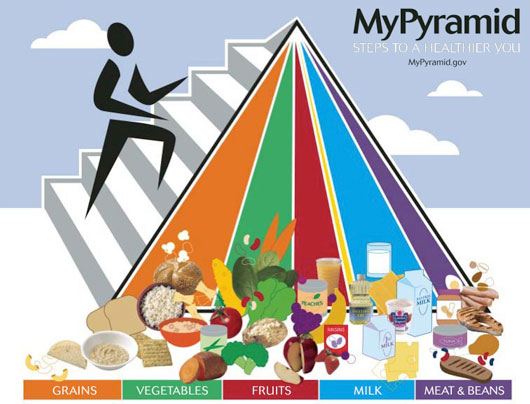 Food Pyramid 2005