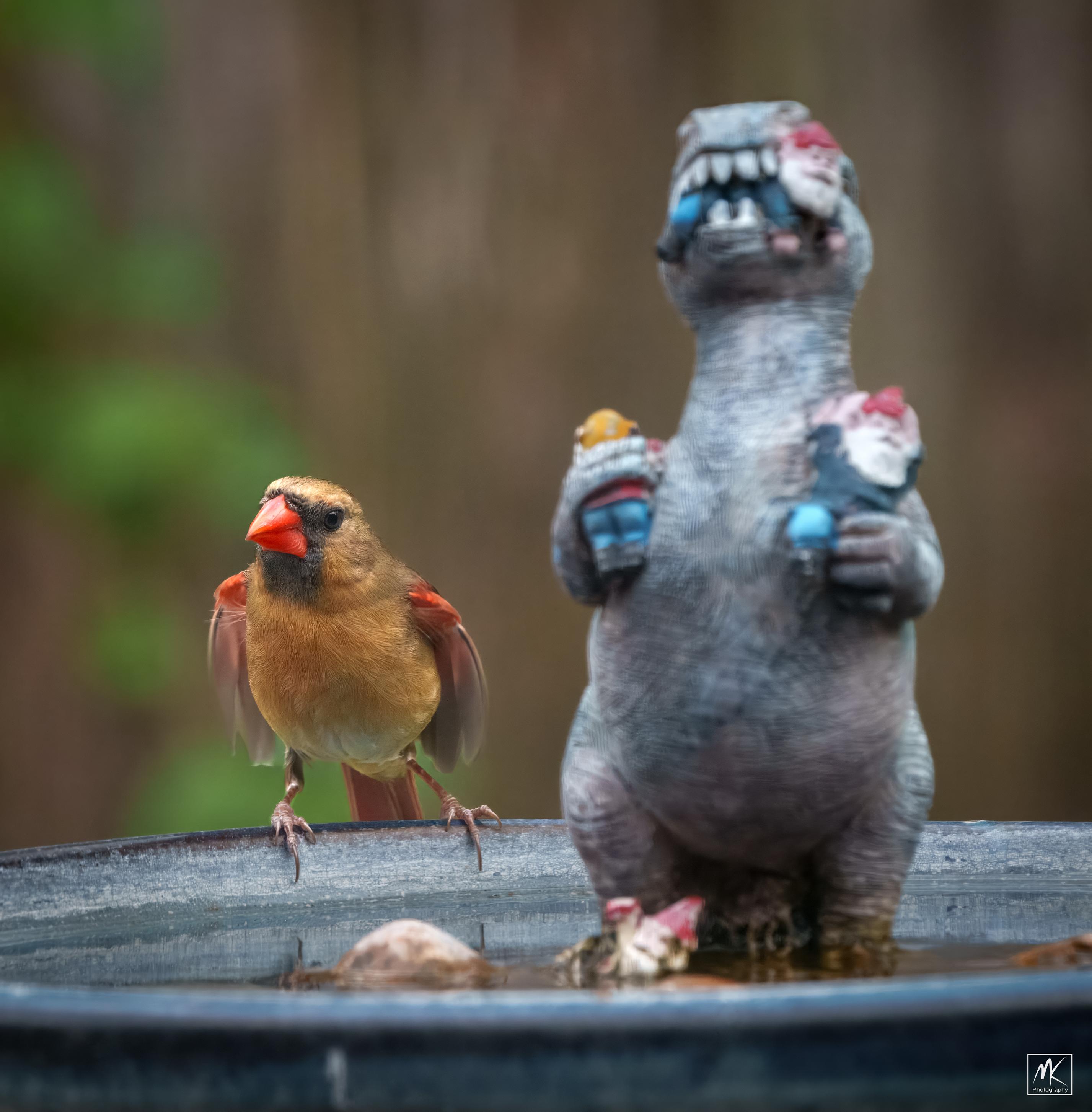 Cardinal Godzilla