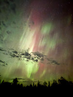 0014 Aurora Brimson September 2025 