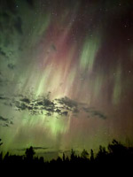 0016 Aurora Brimson September 2025 