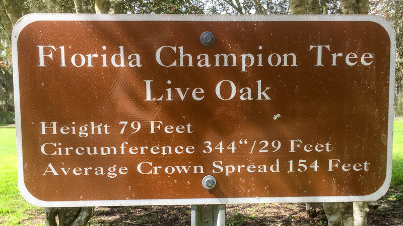 Florida Champion Live Oak Sign