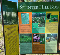 0063 Panhandle 2025 Pitcher Plants Sign 