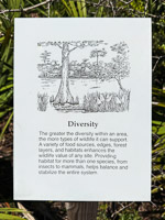 0103 Panhandle 2025 Pitcher Plants Sign 