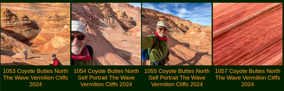 Typical Gallery Row Example