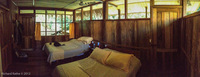 Panorama 012 Panorama Sasha Lodge Ecuador Sacha Lodge Bungalow