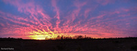 Panorama 090 Panorama Sunset Gulf Coast Sunset