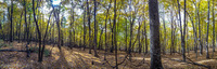 Panorama 140 Guttenberg 2015 Panorama Pikes Peak Iowa 