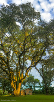 Panorama 214 Panorama 