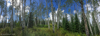 Panorama 338 Panorama Utah 2018 