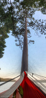Panorama 700 Bwca 2023 Camping Hammock Tents Panorama 