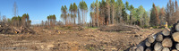 Panorama 832 Brimson September 2025 Panorama 