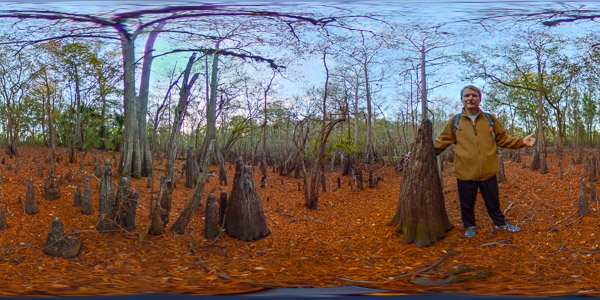 Equirectangular Raw Image