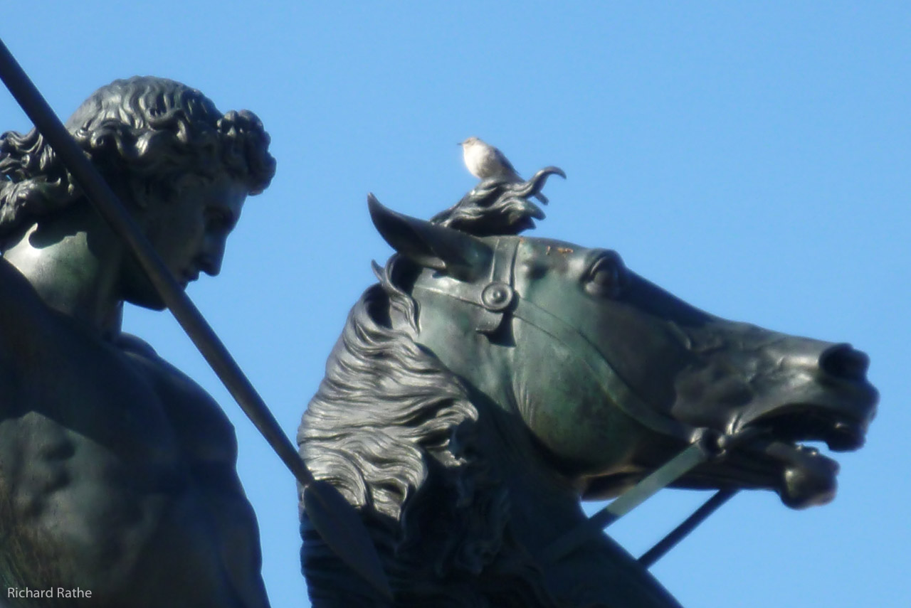 Philly 2013 8