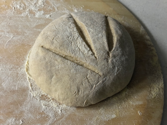 Bird's Foot Slash Pattern