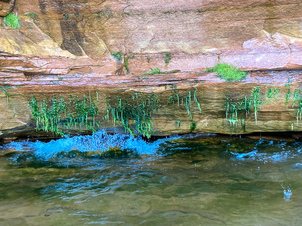 At the Waterline