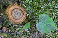 1005 Apostle Islands 2015 