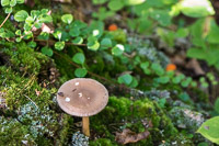 1009 Apostle Islands 2015 