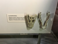 0025 Badlands National Park Signs 