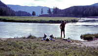 Bikecentennial 13 Madison River Yellowstone