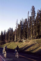 Bikecentennial 19 Towgwotee Pass
