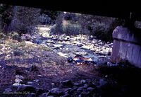 Bikecentennial 27 Camping Under Grizzly Creek Bridge