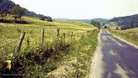 Bikecentennial 42 Virginia Roadside