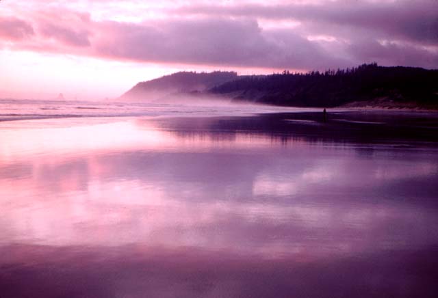 Cannon Beach
