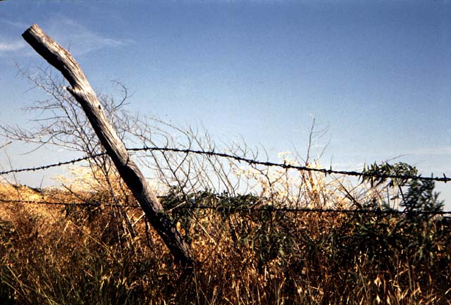 Kansas Roadside