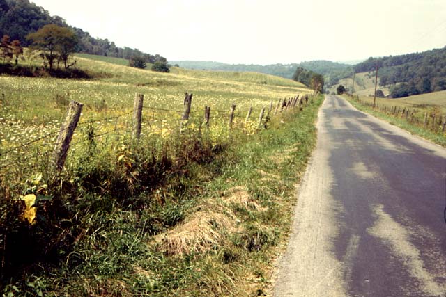 Virginia Roadside