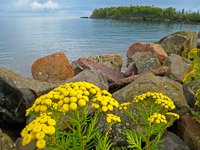 01 Bwca 2008 