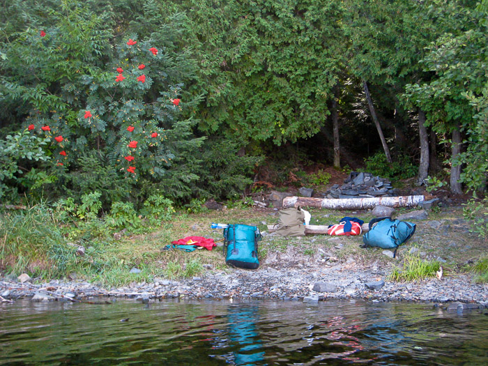 Campsite Under White Cedars