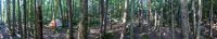 0044 Bwca 2018 Panorama Lake Malberg