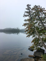 0044 Bwca 2019 