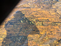 1017 Bwca 2024 Rock Bottom