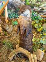 0058 Bwca 2025 Museum 