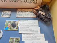 0072 Bwca 2025 Museum 