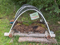 0090 Bwca 2025 Loon Nest