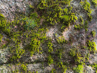 0091 Artistic Bwca 2025 