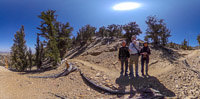 0020 Bristlecone Pine Forest California 2025 Panorama People Theta S 