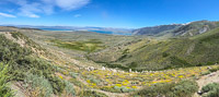 Mono Lake 2025006 California 2025 Mono Lake Panorama 