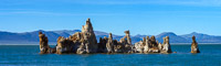 Mono Lake 2025031 Birds California 2025 Mono Lake Osprey