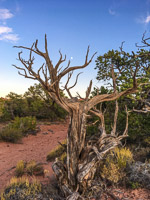 The Maze 2019024 The Maze Utah 2019 