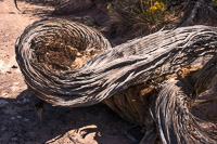 The Maze 2019060 The Maze Utah 2019 