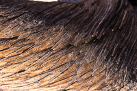 The Maze 2019067 The Maze Utah 2019 